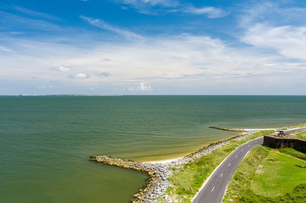 Quels sont les meilleurs spots pour observer les dauphins en Nouvelle-Zélande?