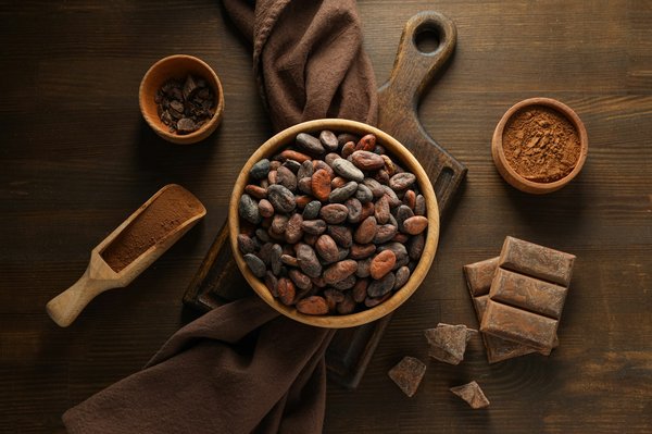 Peut-on trouver une croisière qui propose des visites de fermes de cacao en Amérique du Sud?