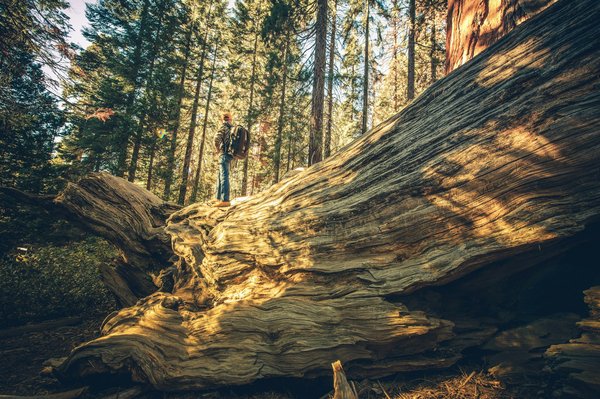 Comment explorer les temples cachés du Sri Lanka : itinéraires et conseils ?